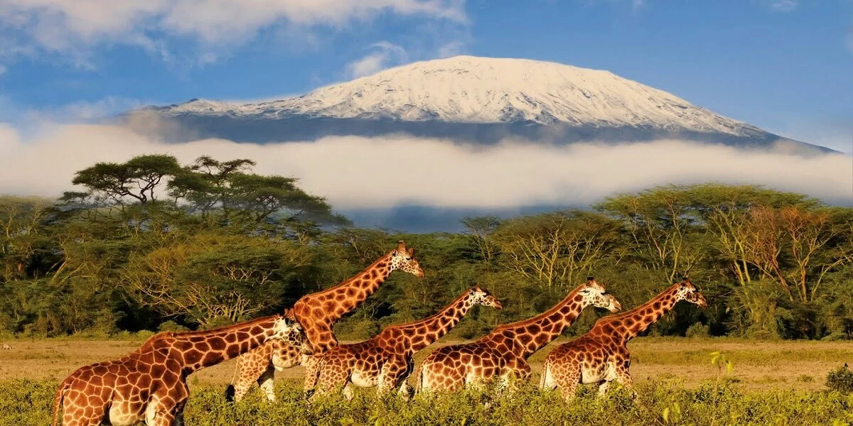 Tanzania’s Engineering Education Blueprint